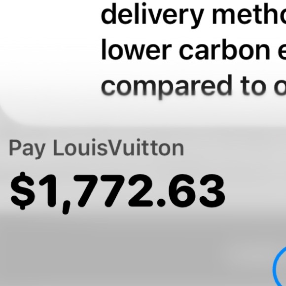 Louis Vuitton Monogram Pochette camille - Picture 16 of 16